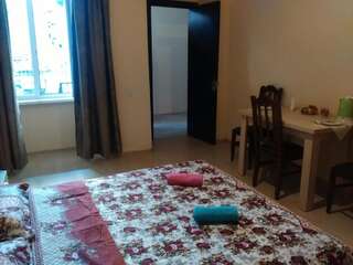 Гостевой дом Green way Guest house Тбилиси Бюджетный двухместный номер с 1 кроватью-5