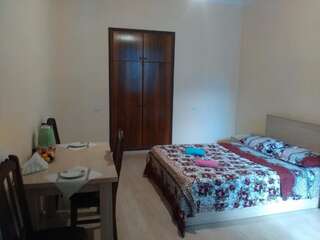 Гостевой дом Green way Guest house Тбилиси Бюджетный двухместный номер с 1 кроватью-6