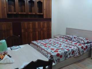 Гостевой дом Green way Guest house Тбилиси Бюджетный двухместный номер с 1 кроватью-27
